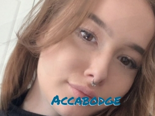 Accabodge