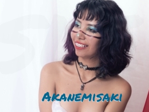 Akanemisaki