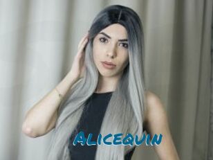 Alicequin