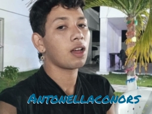 Antonellaconors