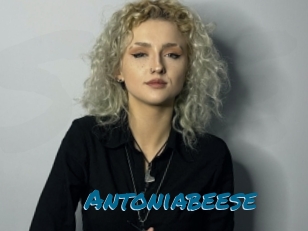 Antoniabeese