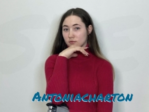 Antoniacharton