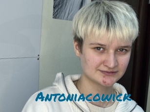 Antoniacowick