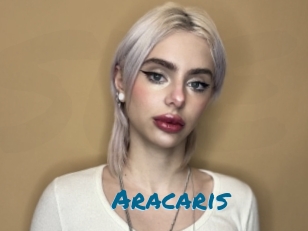 Aracaris