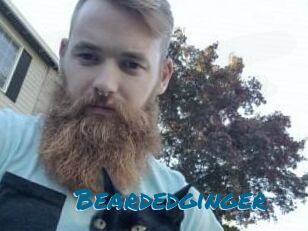 Beardedginger