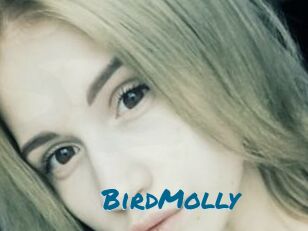 BirdMolly