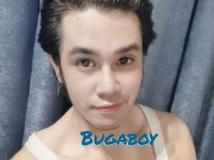 Bugaboy