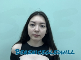 Berenicegledhill