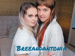 Breeandantonia