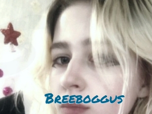 Breeboggus