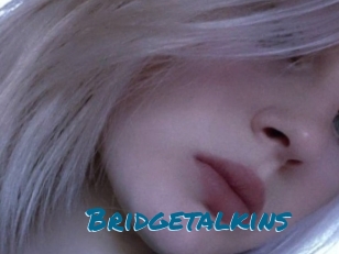 Bridgetalkins