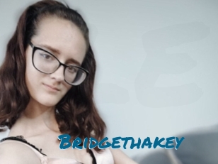 Bridgethakey