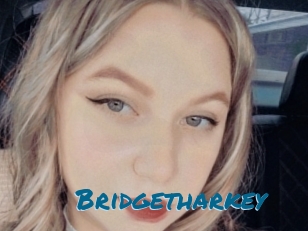 Bridgetharkey