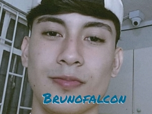 Brunofalcon