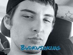 Budkushking