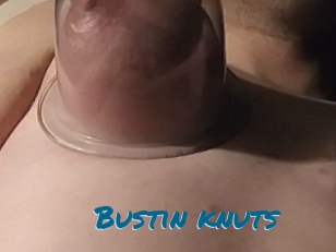 Bustin_knuts