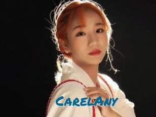 CarelAny