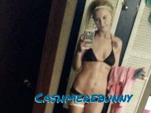 Cashmerebunny