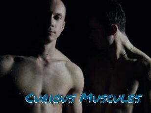 Curious_Muscules