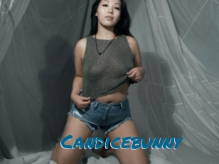 Candicebunny