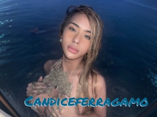 Candiceferragamo