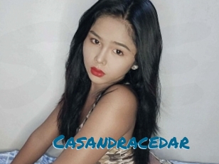 Casandracedar