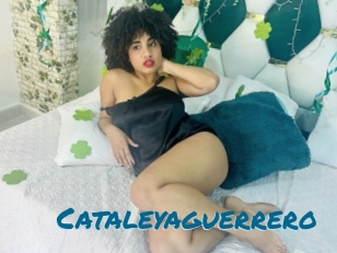 Cataleyaguerrero