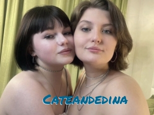 Cateandedina