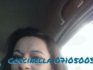 Coccinella-07105003