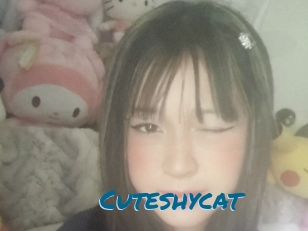 Cuteshycat