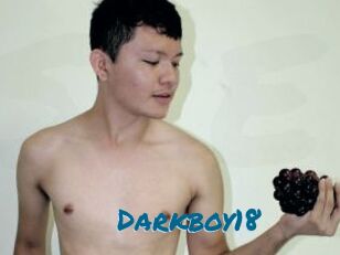 Darkboy18