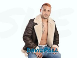 DavidPoll