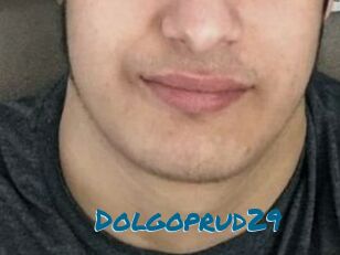 Dolgoprud29