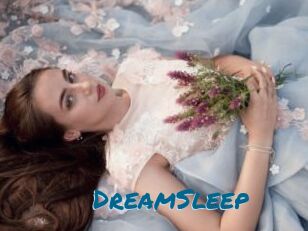 DreamSleep