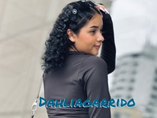 Dahliagarrido