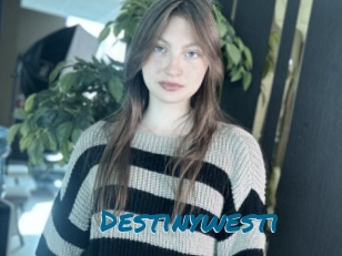 Destinywesti