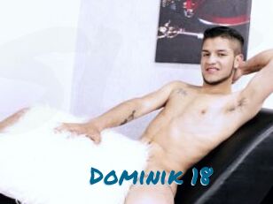 Dominik_18