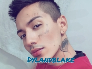 Dylandblake