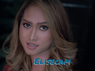 Elisecam