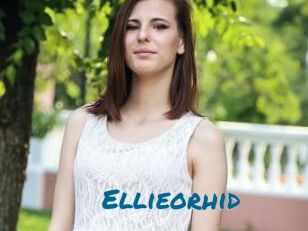 Ellieorhid