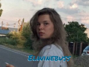 Elwinebuss