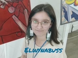 Elwynabuss