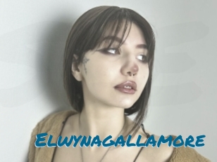 Elwynagallamore