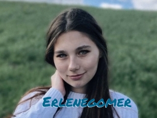 Erlenegomer