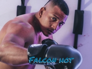 Falcon_hot