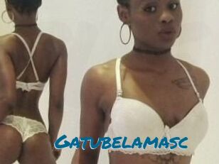 Gatubela_masc