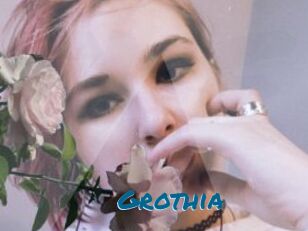 Grothia