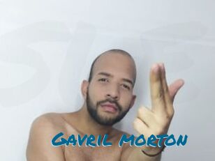 Gavril_morton