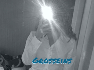 Grosseins