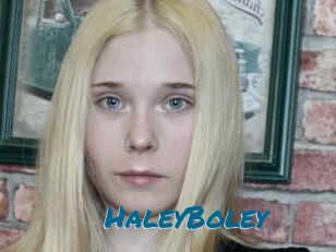 HaleyBoley